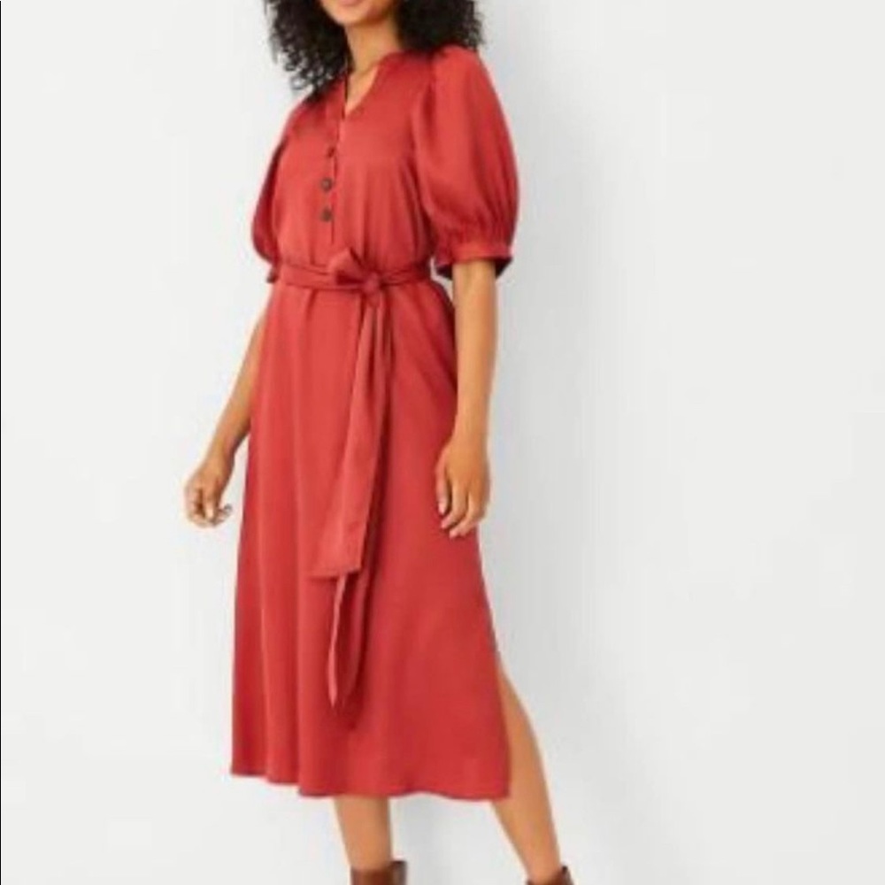 NWOT Ann Taylor spiced orange balloon sleeve dress